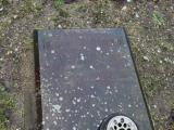 image of grave number 490158